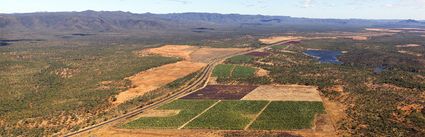 Lakeland Farm - QLD (PBH4 00 14335)